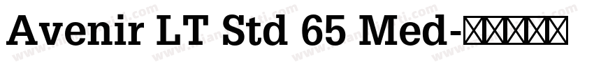 Avenir LT Std 65 Med字体转换